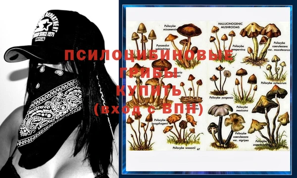 а пвп мука Вяземский